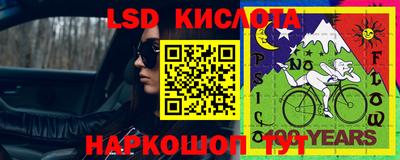 стаф Нальчик