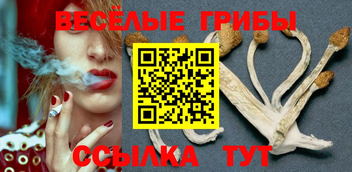 Галлюциногенные грибы Magic Shrooms Тайшет