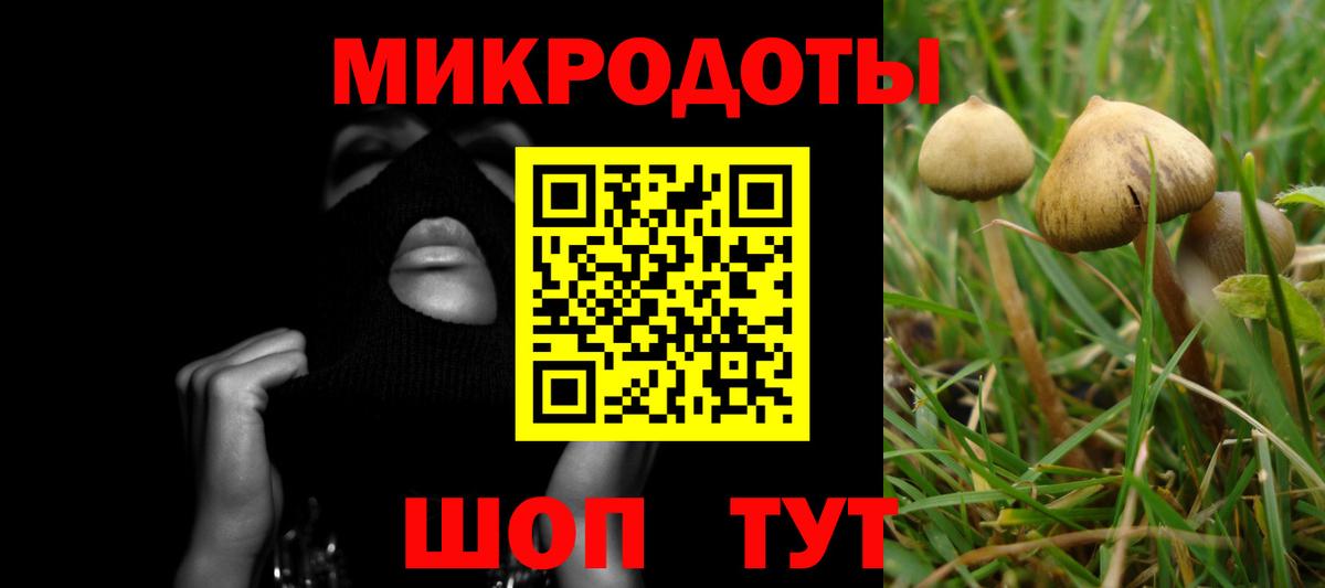 Псилоцибиновые грибы GOLDEN TEACHER  Псилоцибиновые грибы MAGIC MUSHROOMS  Тайшет  Вход с VPN 